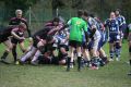 RUGBY CHARTRES 199.JPG